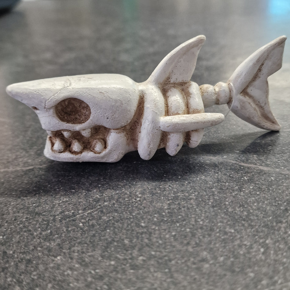 Small Shark Skeleton