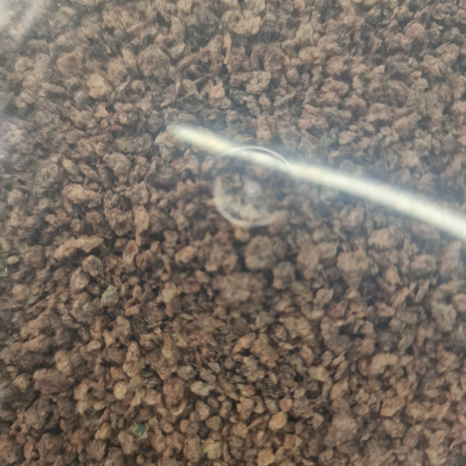 Shark dried Daphnia 1kg
