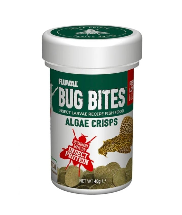 Bug bites Algae crisps 40g