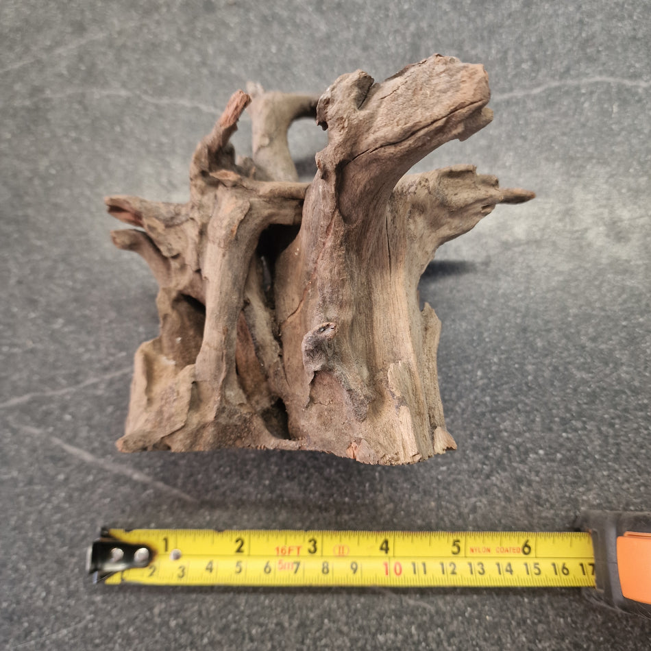 Selected Corbo Wood No. 6