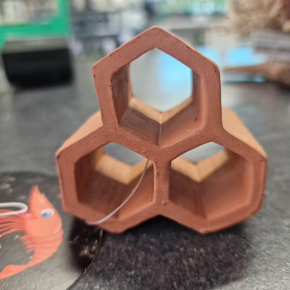 Shrimp cave hexagon