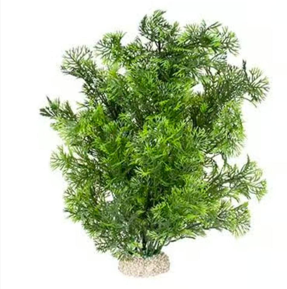 AD phoenix plant dark green 30cm