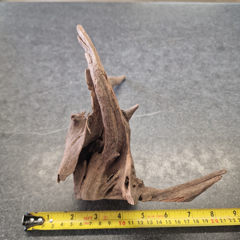 Selected Corbo wood No.3