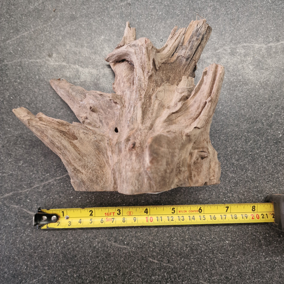 Selected Corbo Wood No. 7