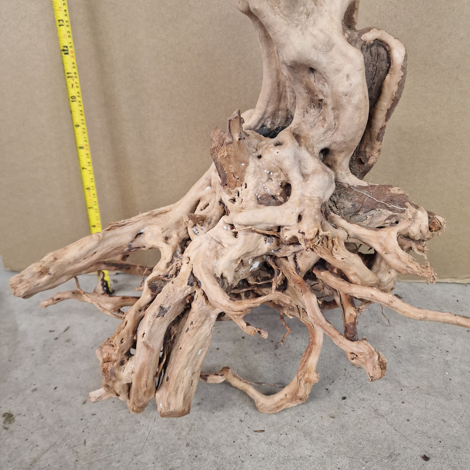Selected Rare Tree Root XL No.1