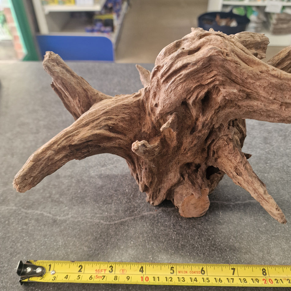 Selected Corbo Root No.2
