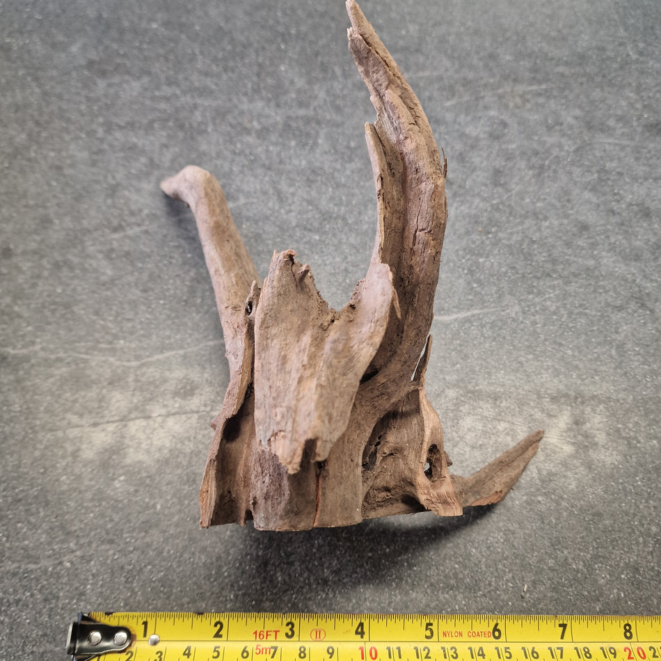 Selected Corbo wood No.3