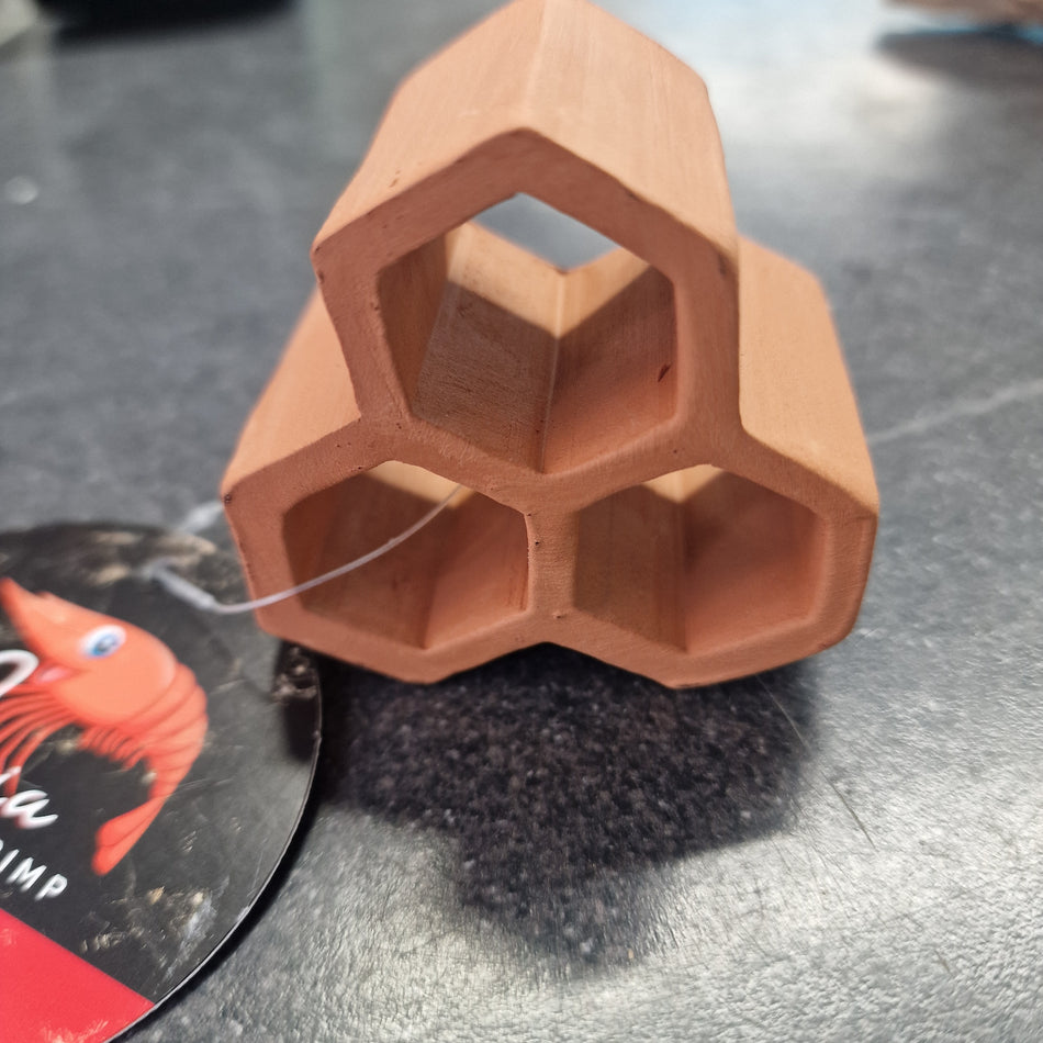 Shrimp cave hexagon