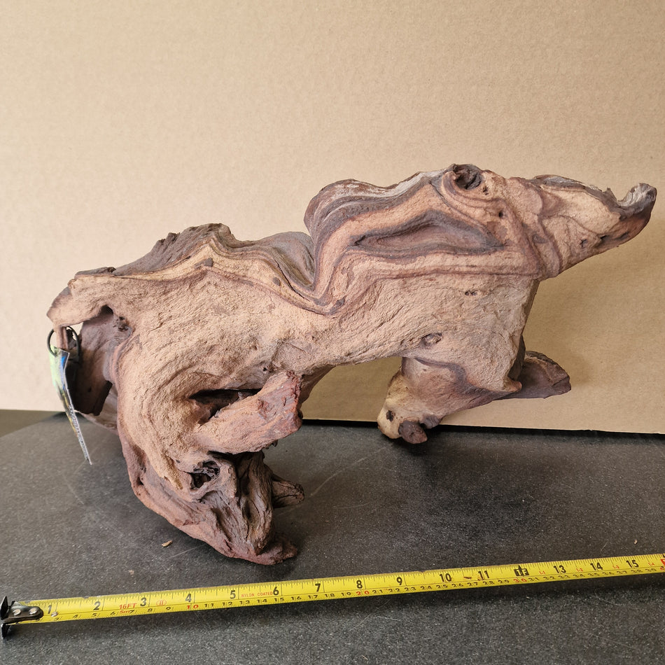 Selected Mopani wood XL No.1