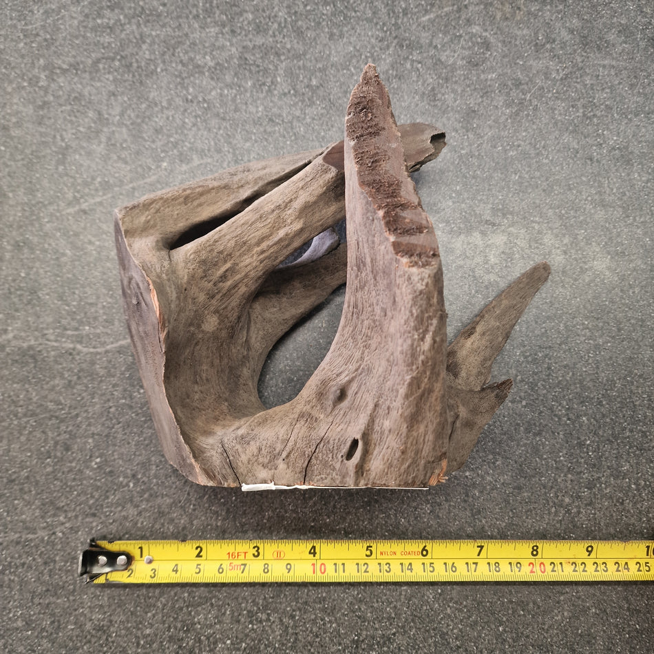 Selected Corbo Root No.4