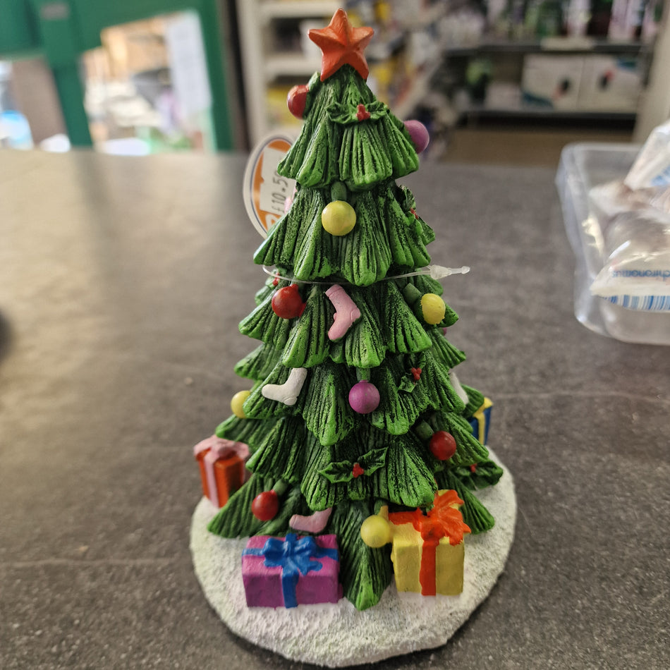 Christmas Tree Betta Choice