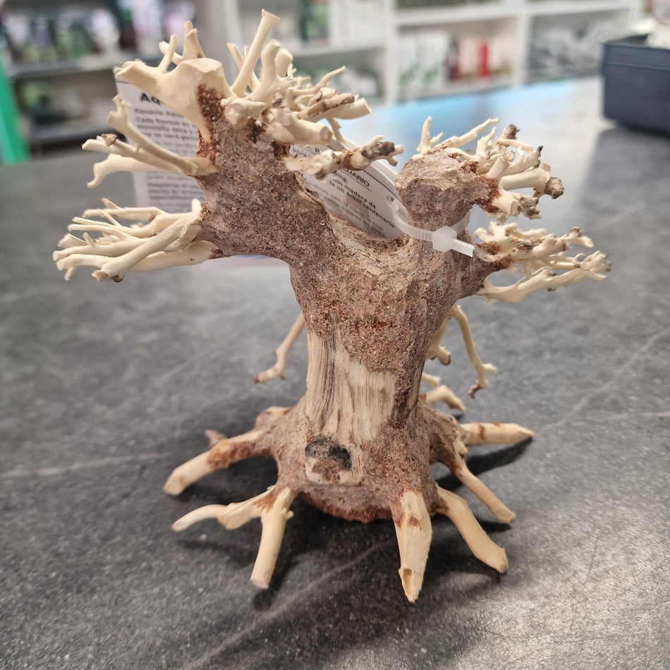 Aqua Bonsai XS
